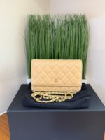 Chanel Wallet On Chain