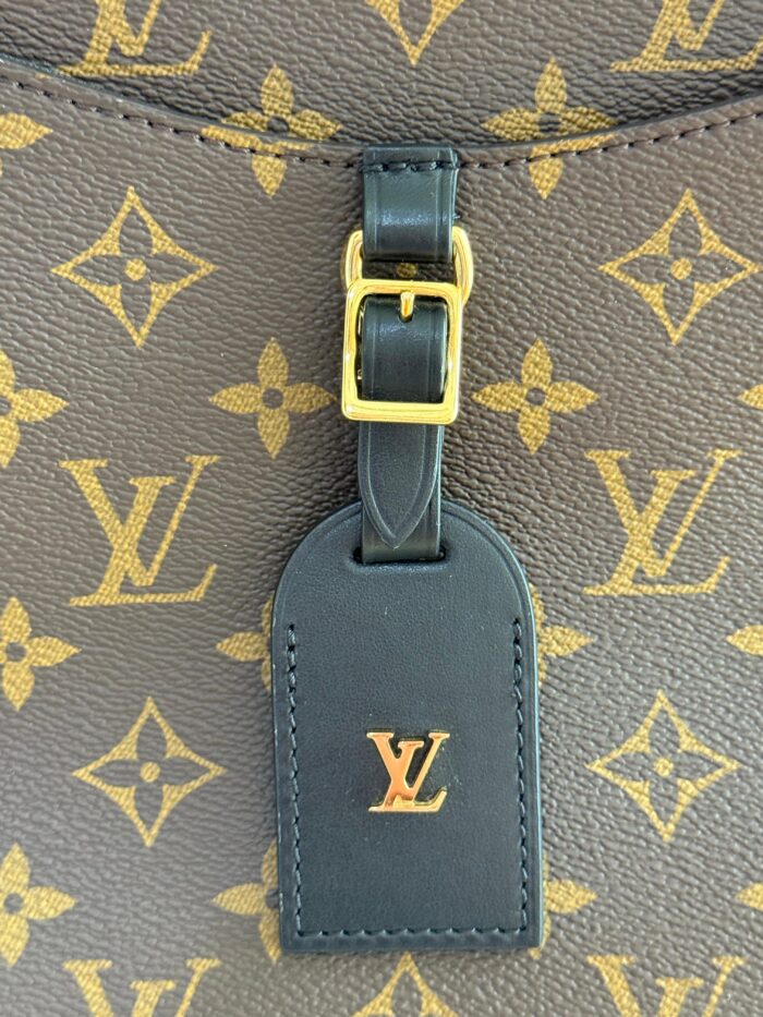 Louis Vuitton Odeon - Image 3